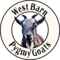 West Barn Pygmy Goats