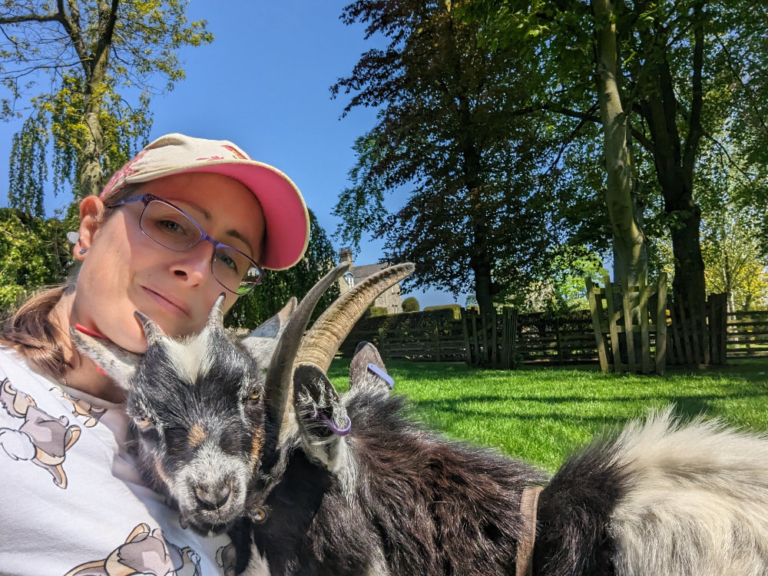 Shop West Barn Pygmy Goats