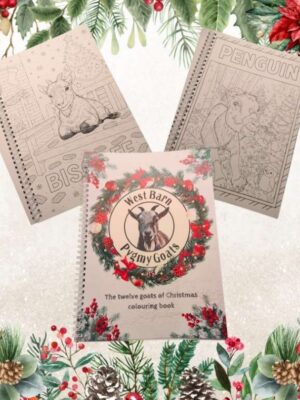 The twelve goats of Christmas colouring book