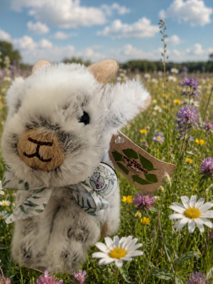 Goat soft toy