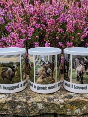 I hugged a goat and I loved it!! mug