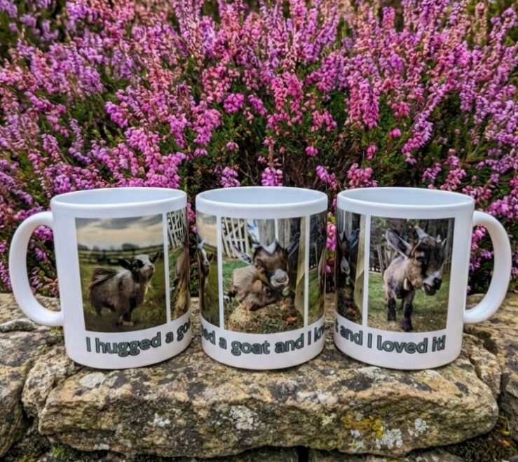 I hugged a goat and I loved it!! mug